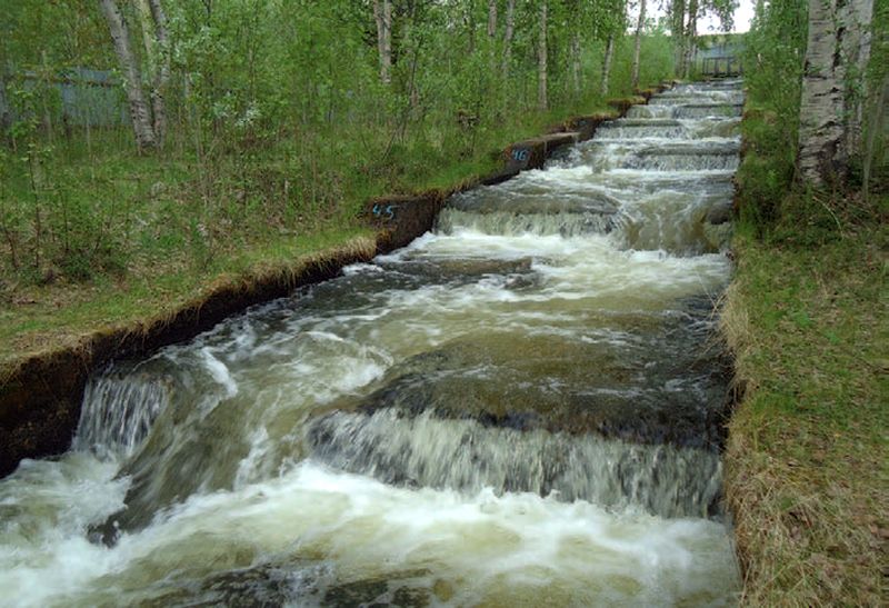 Мурманский филиал ФГБУ «Главрыбвод». Сохраняя водное богатство страны